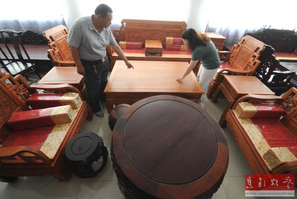 美媒：中国富人渴求昂贵家具 全球名贵木材遭殃